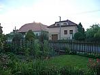 Třibřichy